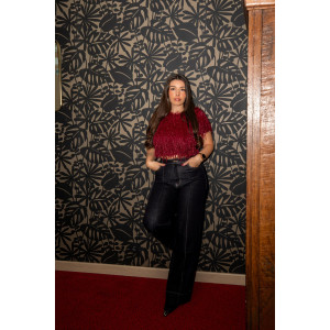 Envoi rapide dans toute la Belgique & paiement sécurisé - Blouse Plume Lumineuse bordeaux