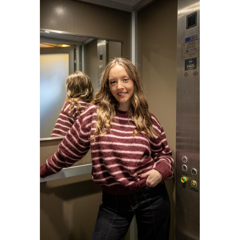 Envoi rapide dans toute la Belgique & paiement sécurisé - Pull Roseberry